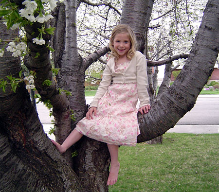 Savannah in a cherry tree